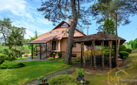 Sumažinta nuotrauka pvz